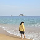 세종해수사우나 | 강원도 고성 호텔 켄싱턴리조트 설악비치 리뉴얼 조식 숙박세일 페스타 할인