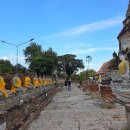 코끼리주유소 | 방콕 투어 내돈내산 아유타야 선셋 투어 후기 (태방이랑)