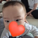 동결배아 1차 이식성공 : 대기없는 시험관 병원, 시술전 조영술 후기