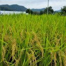 한계2리재내마을 이미지