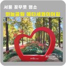 중앙로 메타세콰이아길 이미지