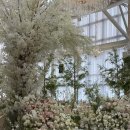 27 | 성남 더바실리움 웨딩홀 계약 후기 27년 비수기 견적 공유