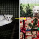 미소지은농장 이미지