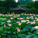 🌺🍒 하나님과 노아의 언약 이미지