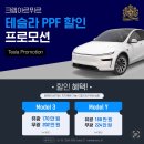 라인리스 성남 - 전체 PPF 후기