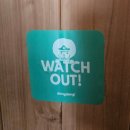 가평한옥애견펜션 | <가평>댕댕이애견펜션 퍼플 후기