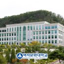 메타브래드 주식회사