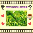 푸른마을유치원 이미지