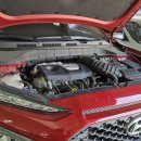 대기카포스 이미지