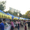 성인태양광발전소 이미지