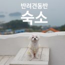 희락정민박 | 반려견 동반 여행 숙소 - 전라도 고창, 광주, 나주, 경남 남해 강아지 동반 가능 숙소 소개해요(전라도...