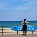 현내리체험마을 | 금진해변 서프홀릭강릉에서 여자 서핑체험, 가격, 준비물 내돈내산 후기