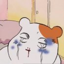 외가 Daum카페