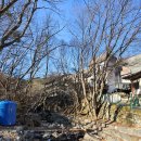 더존 | 동학사펜션 추천 계룡산 더존펜션 방문 후기