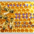 농공슈퍼 Daum카페