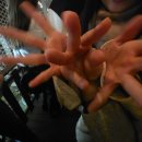 지현펜션 | 내일이면 인류가 잃어버릴 멸종위기우정