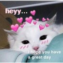7. Good Early Morning and. Can't Sleep ㅠㅠ 💝🐰💖 이미지