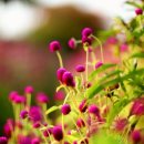 가야농장 이미지