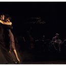 스포츠댄스 이미지