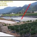 반곡보건진료소 이미지