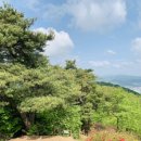 (주)닥터한스 이미지