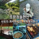 채리네민박 | 포항 옥계계곡펜션 ‘청솔펜션’ 아이들과 함께 하기좋은 사유지 계곡 물놀이 장소 추천
