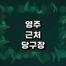 평은리 | 영주시 근처 당구장 정보 추천 포켓볼 장갑 당구공 무인 레슨 초크 4구 큐대 공휴일 주말 당구대 24...