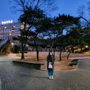 통큰딱따구리문구