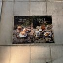 에코라운지 | 제주 테라로사 에코라운지 서귀포에 위치한 DT점 방문후기