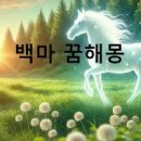 말꿈 해몽 말타는꿈 백마타는꿈 말에서 떨어지는꿈 이미지