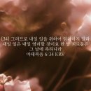 스마트폴04 | 주간일기 7월 첫째주