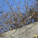 홍천세무서 이미지