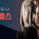 바디애(후평점) 이미지