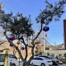 차 앤 박 헤어 | 포앤박쌀국수 : 남양주 평내호평 쌀국수 맛집 추천