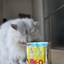 유원케이 | 미오 고양이 습식 파우치 잘먹는 돌랑쓰