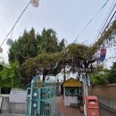 시간여행 | 전주 가볼만한곳 추천 👍 전주난장 시간여행 다녀온 후기