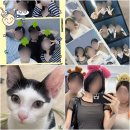 폴라동물병원 | 자기계발서가 필요없는 사람 1위 (이미 잘하고 있어서) 일상