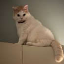 그루밍 모먼트 | 25.09 특별히 하는건 없는데 왜이리 바쁜거죠