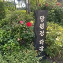 망원정마당 공중화장실 | 망원동 산책 장미 스팟 망원정 마당