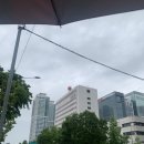 [영등포] 구선 동여의도점 - 고퀄리티 일식 여의도역 이자카야 직장인 점심추천