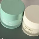 청수7로 | 청수연 부평초수분크림 데이앤나잇 루틴으로 사용하는 진정수분크림 후기