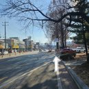 까치주유소 이미지