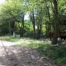 한아름 사슴 농장 이미지