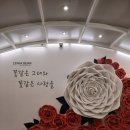 카페빈 | 대구 성서 제니아빈 카페 후기 (사진 맛집)