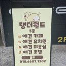 월드애견미용실 이미지