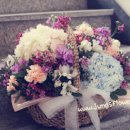 메리엘산부인과 이미지