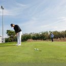 리얼숏게임-퍼팅 이미지