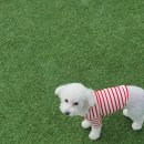 486독캠프 이미지