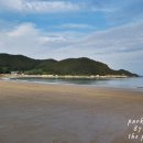 신전리해수욕장 Daum카페