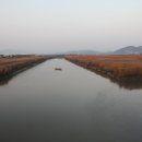 갈대이야기 이미지